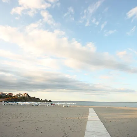 Menada Nestinarka * ツァレヴォ